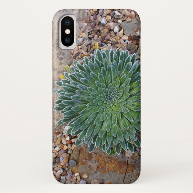 Capa Para iPhone, Case-Mate Suculente planta do deserto (Verso)