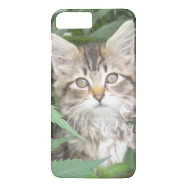 Capa Para iPhone, Case-Mate Tabby Kitten iPhone 7 plus case (Verso)
