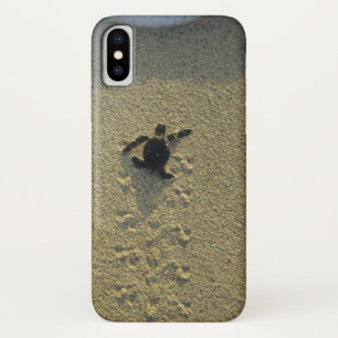 Capa Para iPhone X Tartaruga Verde, (Chelonia mydas), filhote