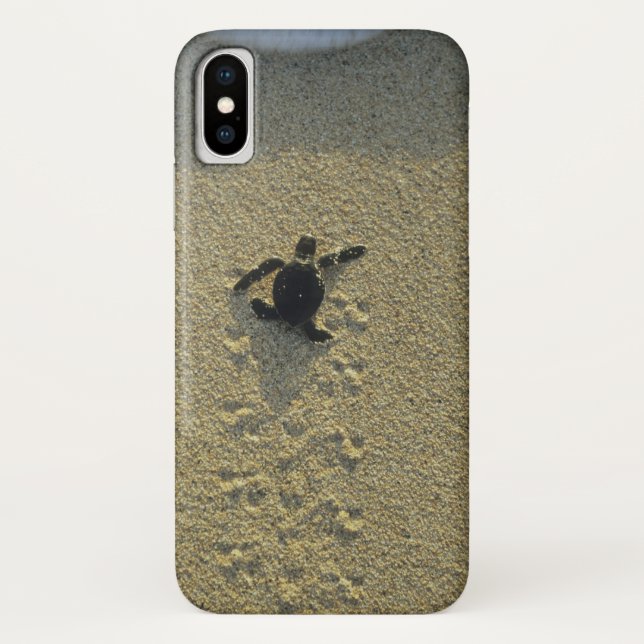 Capa Para iPhone, Case-Mate Tartaruga Verde, (Chelonia mydas), filhote (Verso)