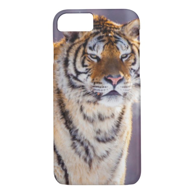 Capa Para iPhone, Case-Mate Tigre siberiano na neve, China (Verso)