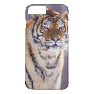 Capa iPhone 8 Plus/7 Plus Tigre siberiano na neve, China