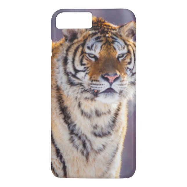 Capa Para iPhone, Case-Mate Tigre siberiano na neve, China (Verso)