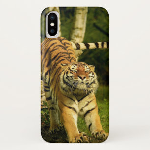 Capa Para iPhone Da Case-Mate Tigre - Um Mundo de Boa Manhã