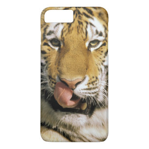 Capa Para iPhone Da Case-Mate Tigre Zoológico de Michigan