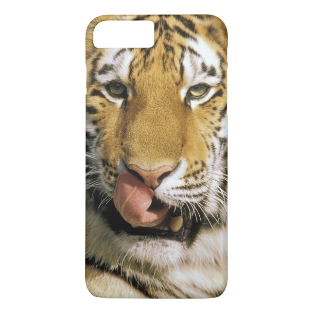 Capa Para iPhone, Case-Mate Tigre Zoológico de Michigan (Verso)