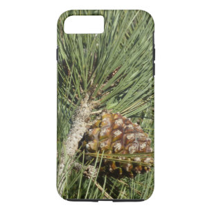 Capa Para iPhone Da Case-Mate Torrey Pine Closeup California Botanical