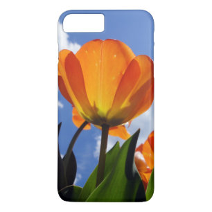 Capa iPhone 8 Plus/7 Plus Tula Laranja, Céu Azul