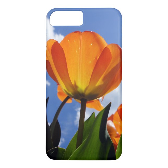 Capa Para iPhone, Case-Mate Tula Laranja, Céu Azul (Verso)
