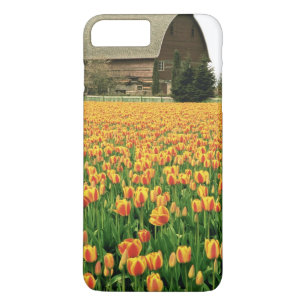Capa iPhone 8 Plus/7 Plus Tulipas de Primavera florescem em frente ao celeir