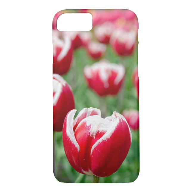 Capa Para iPhone, Case-Mate tulipas neerlandesas vermelhas (Verso)