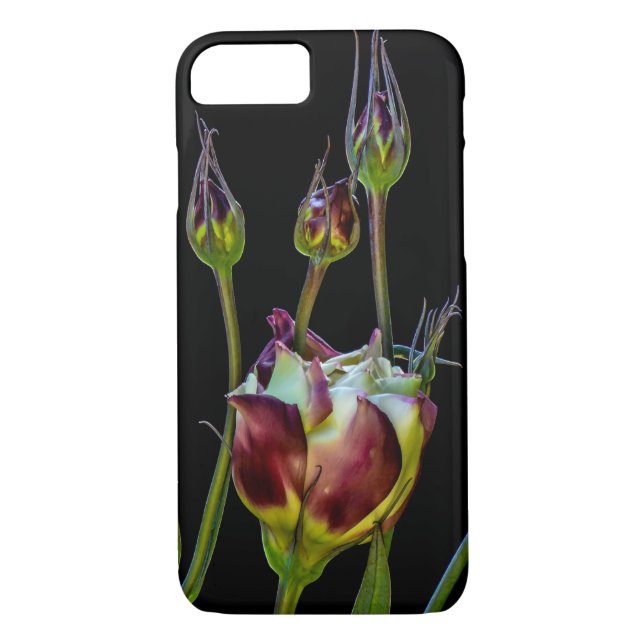 Capa Para iPhone, Case-Mate Tulipas Roxas Eetéreas (Verso)