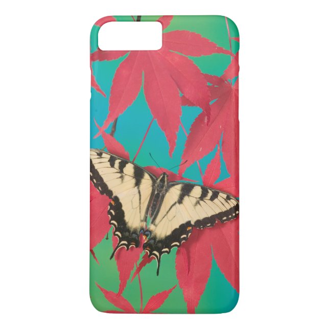Capa Para iPhone, Case-Mate Uma Borboleta Canadense Tiger Swallowtail (Verso)