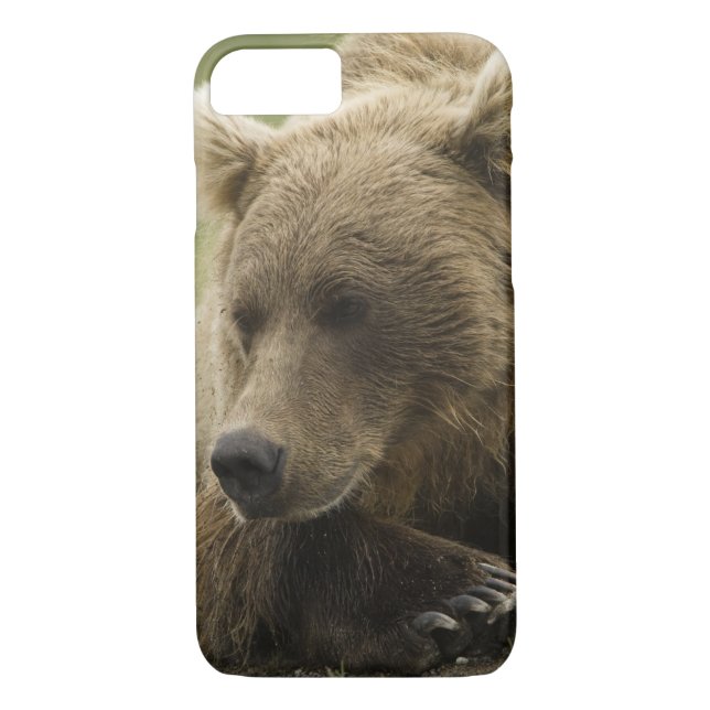 Capa Para iPhone, Case-Mate Urso castanho ou Urso Cinzeiro Costeiro, Urso (Verso)