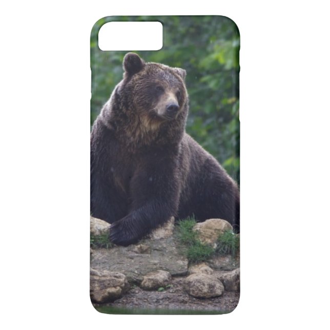 Capa Para iPhone, Case-Mate Urso de Brown (Verso)