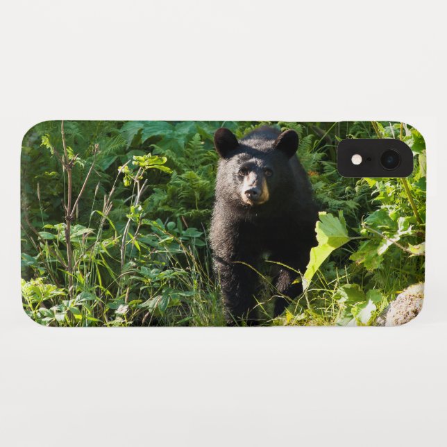 Capa Para iPhone, Case-Mate Urso Preto Curioso (Verso (Horizontal))