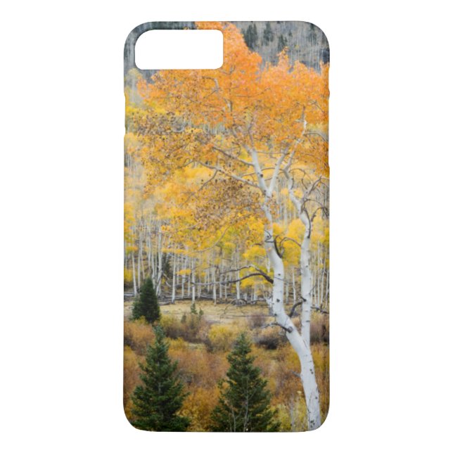 Capa Para iPhone, Case-Mate Utah, EUA. Árvores E Galinhas Selvagens (Verso)