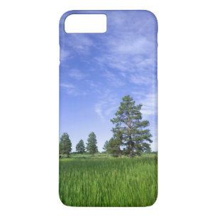 Capa Para iPhone Da Case-Mate UTAH. EUA. Pinheiros Ponderosa Pinus ponderosa) &