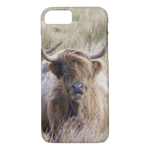 Capa iPhone 8/ 7 Vaca Highland escocesa