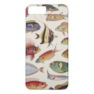 Capa Para iPhone Da Case-Mate Variedades de peixes