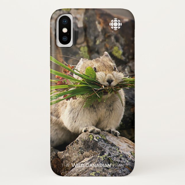 Capa Para iPhone, Case-Mate Verão - América Latina (Verso)