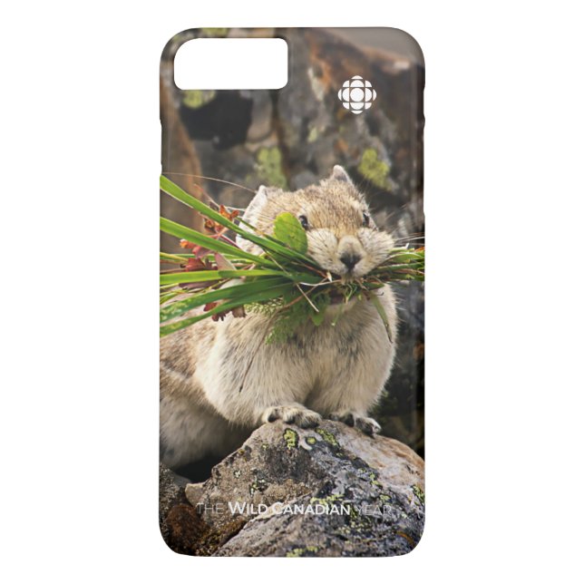 Capa Para iPhone, Case-Mate Verão - América Latina (Verso)