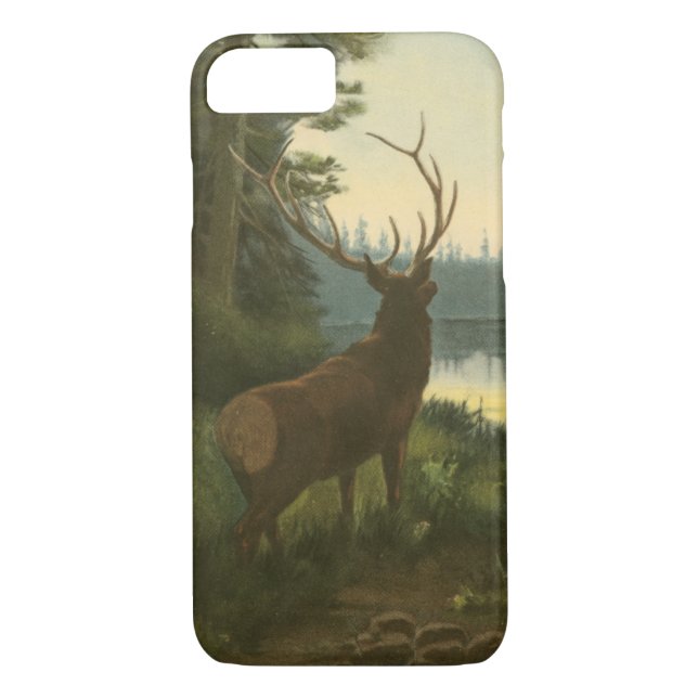 Capa Para iPhone, Case-Mate Vista de trás de Elk Olhando sobre um lago (Verso)