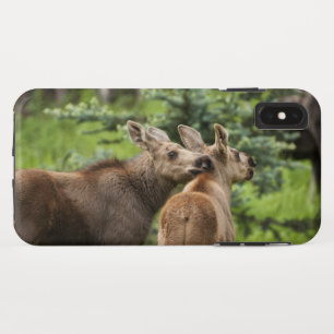 Capa Para iPhone Da Case-Mate Vitelos De Moose Vinculados