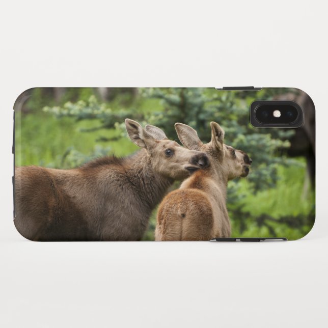 Capa Para iPhone, Case-Mate Vitelos De Moose Vinculados (Verso (Horizontal))