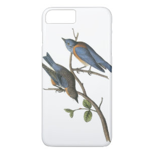 Capa Para iPhone Da Case-Mate Western Bluebird por Audubon