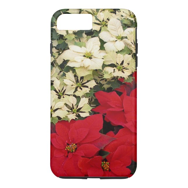 Capa Para iPhone, Case-Mate White e Red Poinsettias I Feriado Floral (Verso)