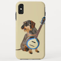 Wirehair Dachshund Tocando Banjo