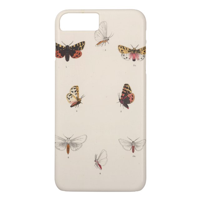 Capa Para iPhone, Case-Mate XL Arctia, Leucarctia, Euchaetes (Verso)