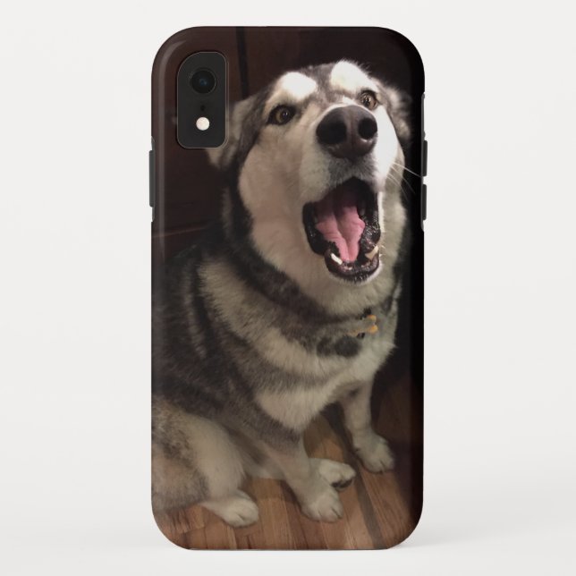 Capa Para iPhone, Case-Mate Yawning Alaskan Malamute Fotografia (Verso)