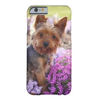 Capa Barely There Para iPhone 6 Yorkshire Terrier