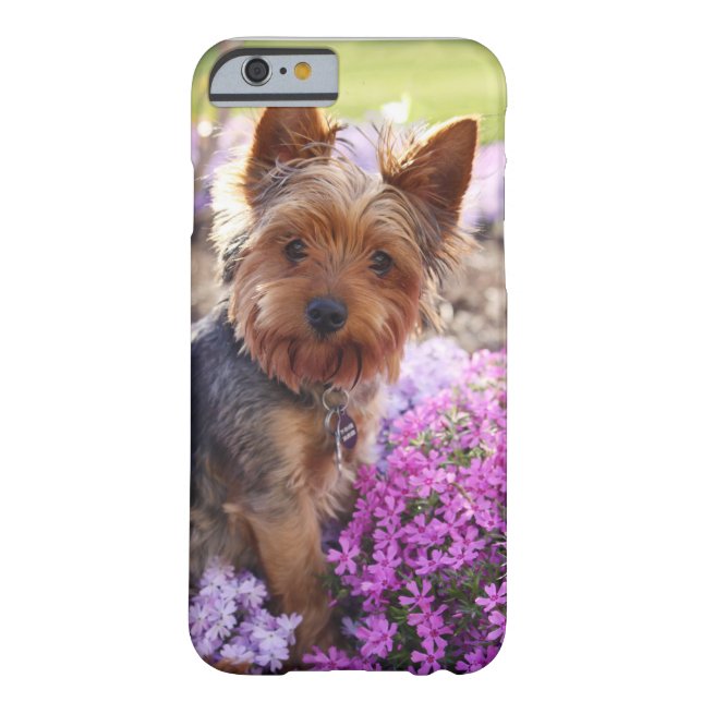 Capa Para iPhone, Case-Mate Yorkshire Terrier (Verso)