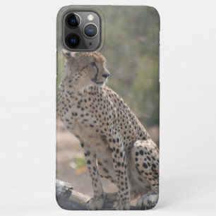 Capa Para iPhone Cheetah