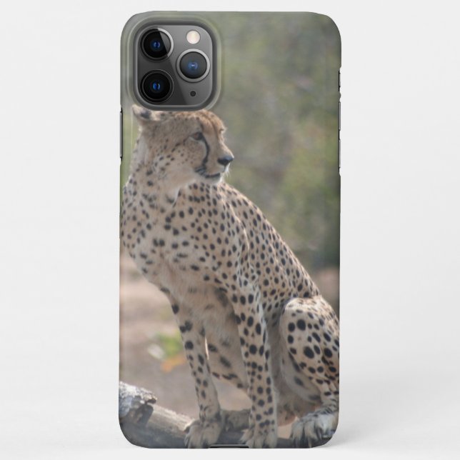 Capa Para iPhone Cheetah sentado numa árvore caída na natureza (Verso)
