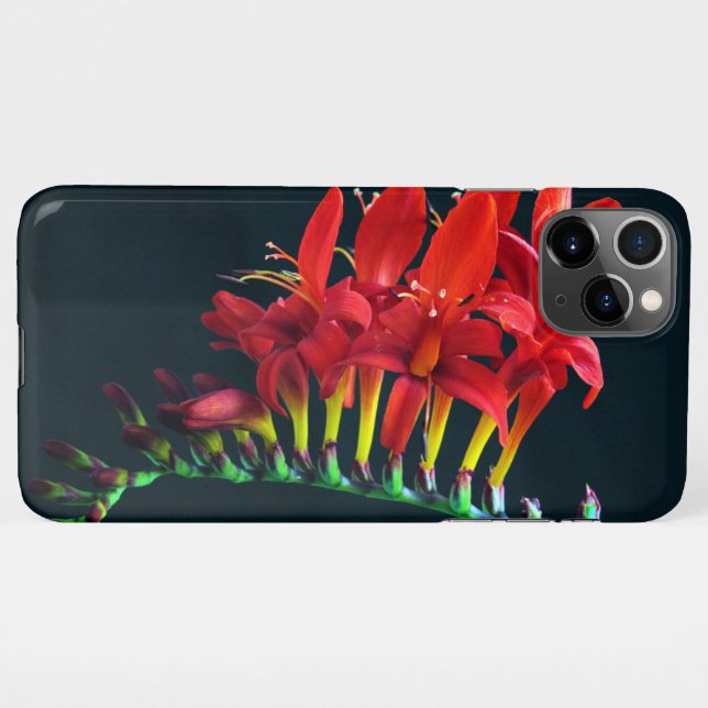 Capa Para iPhone Crocosomia Lucifer Montbretia Floral (Verso Horizontal)