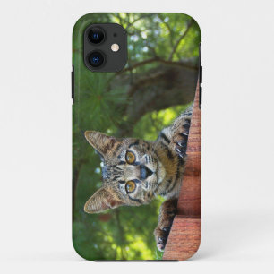 Capa Para iPhone Da Case-Mate サ バ ン 猫 のiPhone 5の ナ 穹 窖 や っ と そ