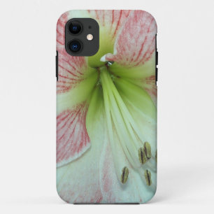 Capa Para iPhone Da Case-Mate 104a o Amaryllis Apple floresce 2 abertos