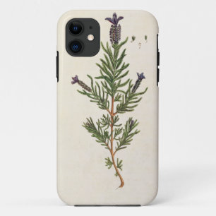 Capa Para iPhone Da Case-Mate A lavanda francesa, chapeia 241 'de um Herbal
