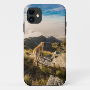 Capa Para iPhone Da Case-Mate A viagem