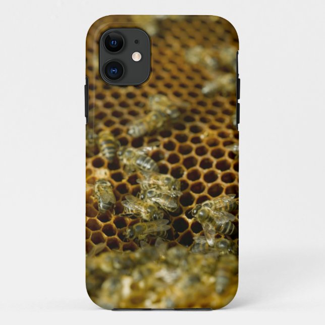 Capa Para iPhone Da Case-Mate Abelhas Em Colmeia, Cabo Ocidental, África Do Sul (Verso)