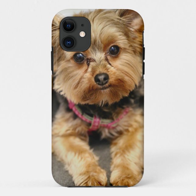 Capa Para iPhone Da Case-Mate Adorável (Verso)