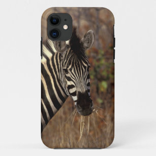 Capa Para iPhone Da Case-Mate África, África do Sul, retrato da zebra de Kruger