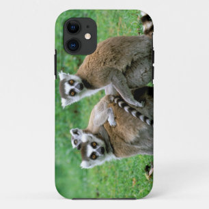 Capa Para iPhone Da Case-Mate África, Madagascar, Antananarivo, Tsimbazaza
