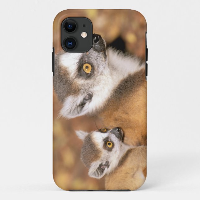 Capa Para iPhone Da Case-Mate África, Madagascar, Reserva Privada Berenty. (Verso)