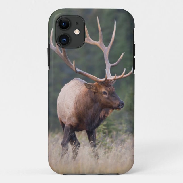 Capa Para iPhone Da Case-Mate Alce das Montanhas Rochosas (Verso)