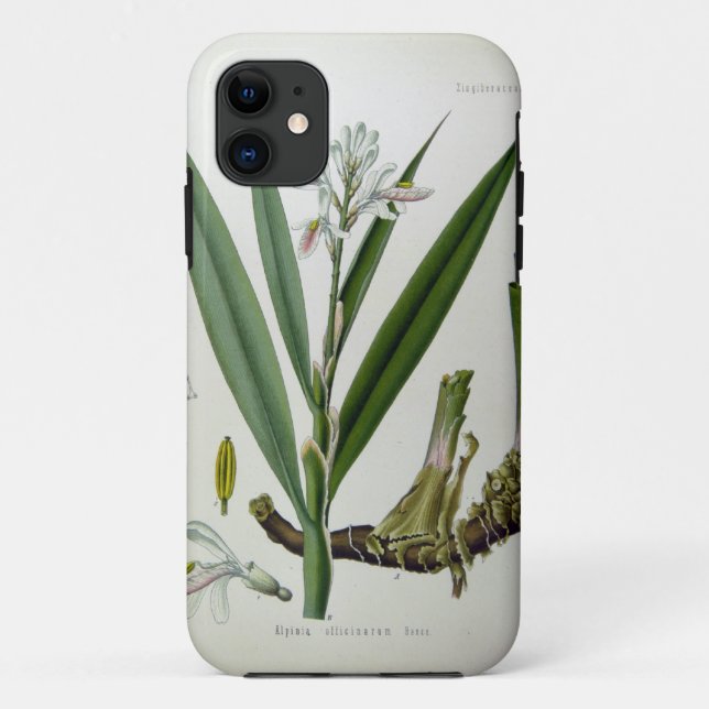 Capa Para iPhone Da Case-Mate Alpinia officinarum (Verso)